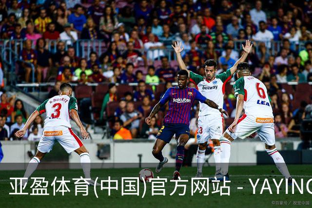亚盈体育(中国)官方网站 - YAYING SPORTS公司简介